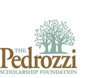 Pedrozzi Foundation Logo Click to visit Pedrozzi's site.